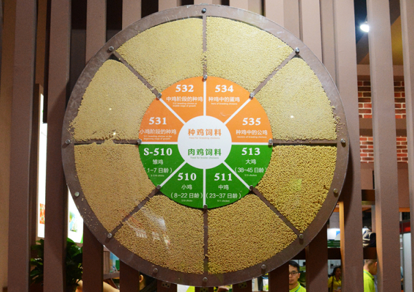 KS��ʱ��(�й���)�ٷ���վ