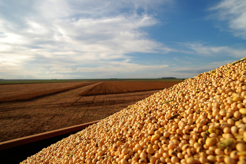 KS��ʱ��(�й���)�ٷ���վ