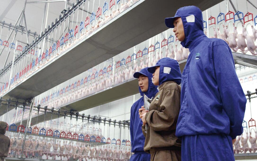 KS��ʱ��(�й���)�ٷ���վ