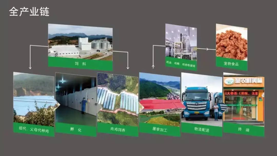 KS��ʱ��(�й���)�ٷ���վ