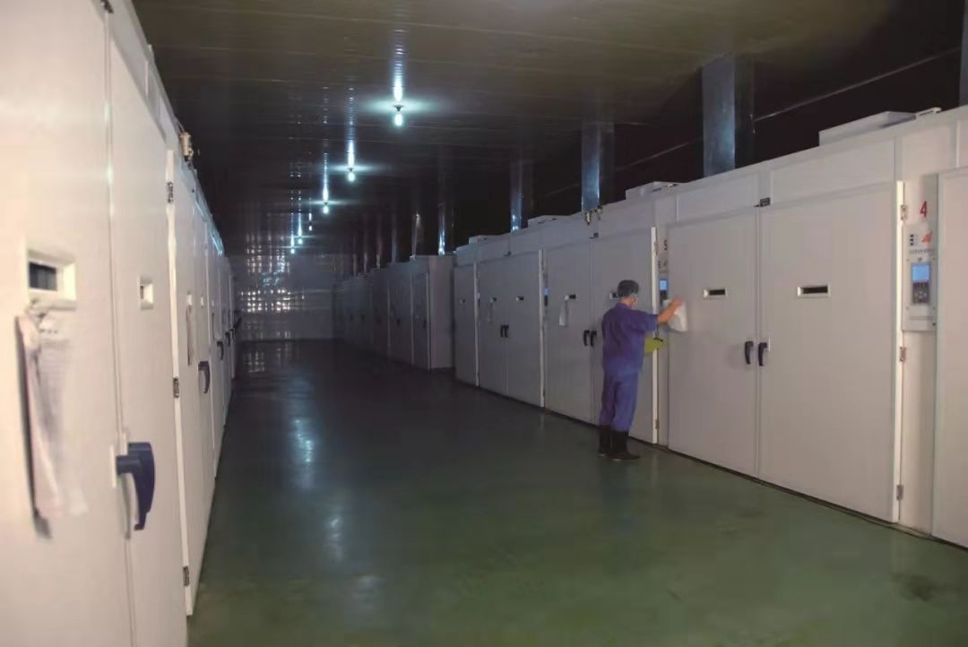 KS��ʱ��(�й���)�ٷ���վ