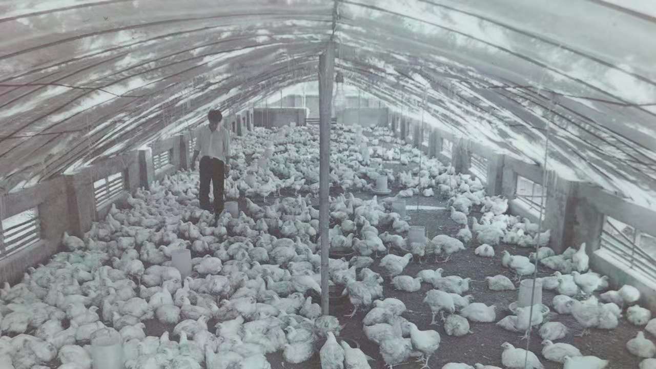 KS��ʱ��(�й���)�ٷ���վ