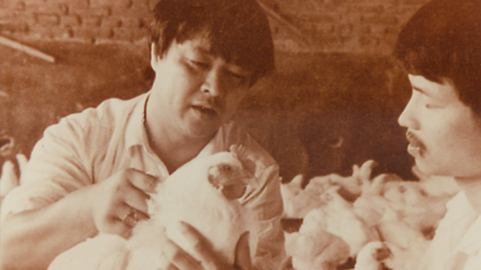 KS��ʱ��(�й���)�ٷ���վ