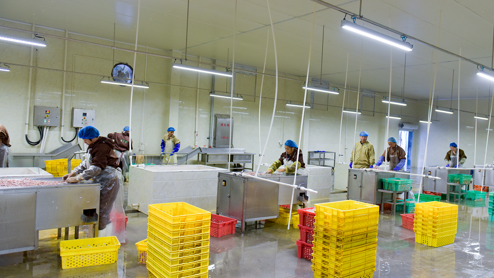 KS��ʱ��(�й���)�ٷ���վ