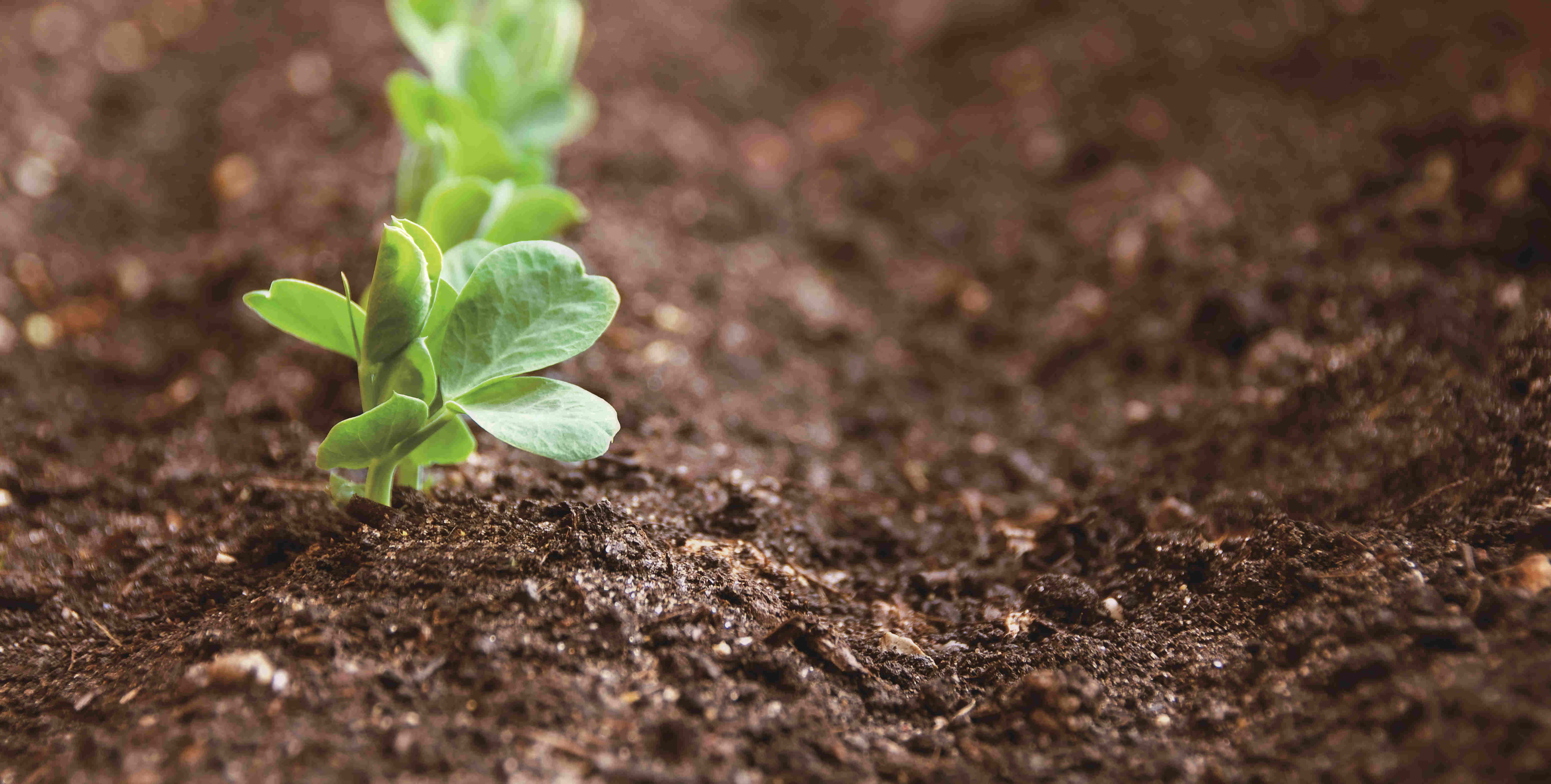 KS��ʱ��(�й���)�ٷ���վ