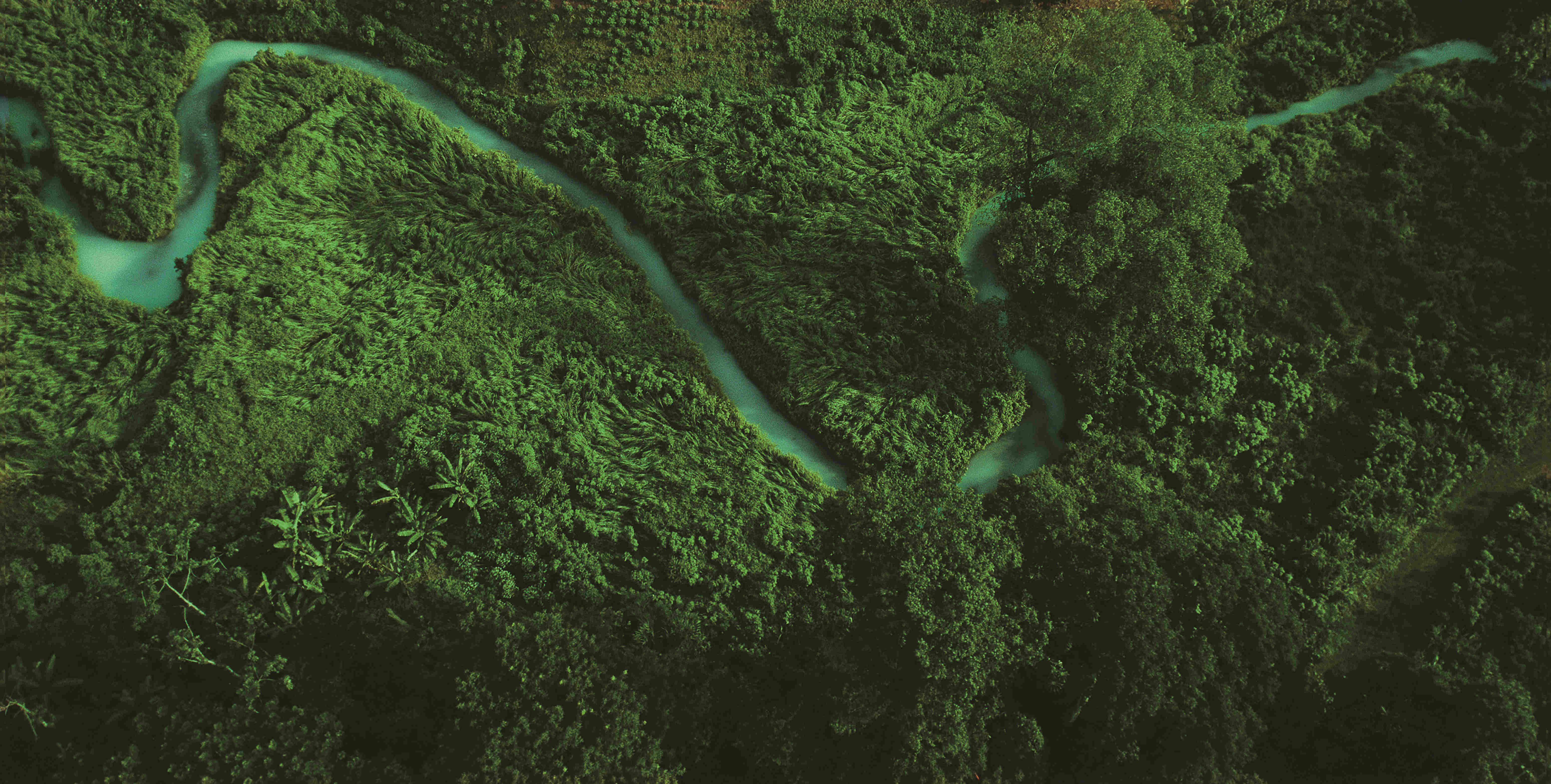 KS��ʱ��(�й���)�ٷ���վ