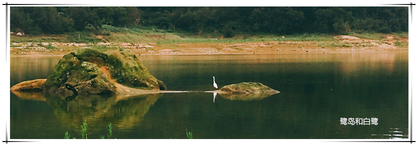 KS��ʱ��(�й���)�ٷ���վ