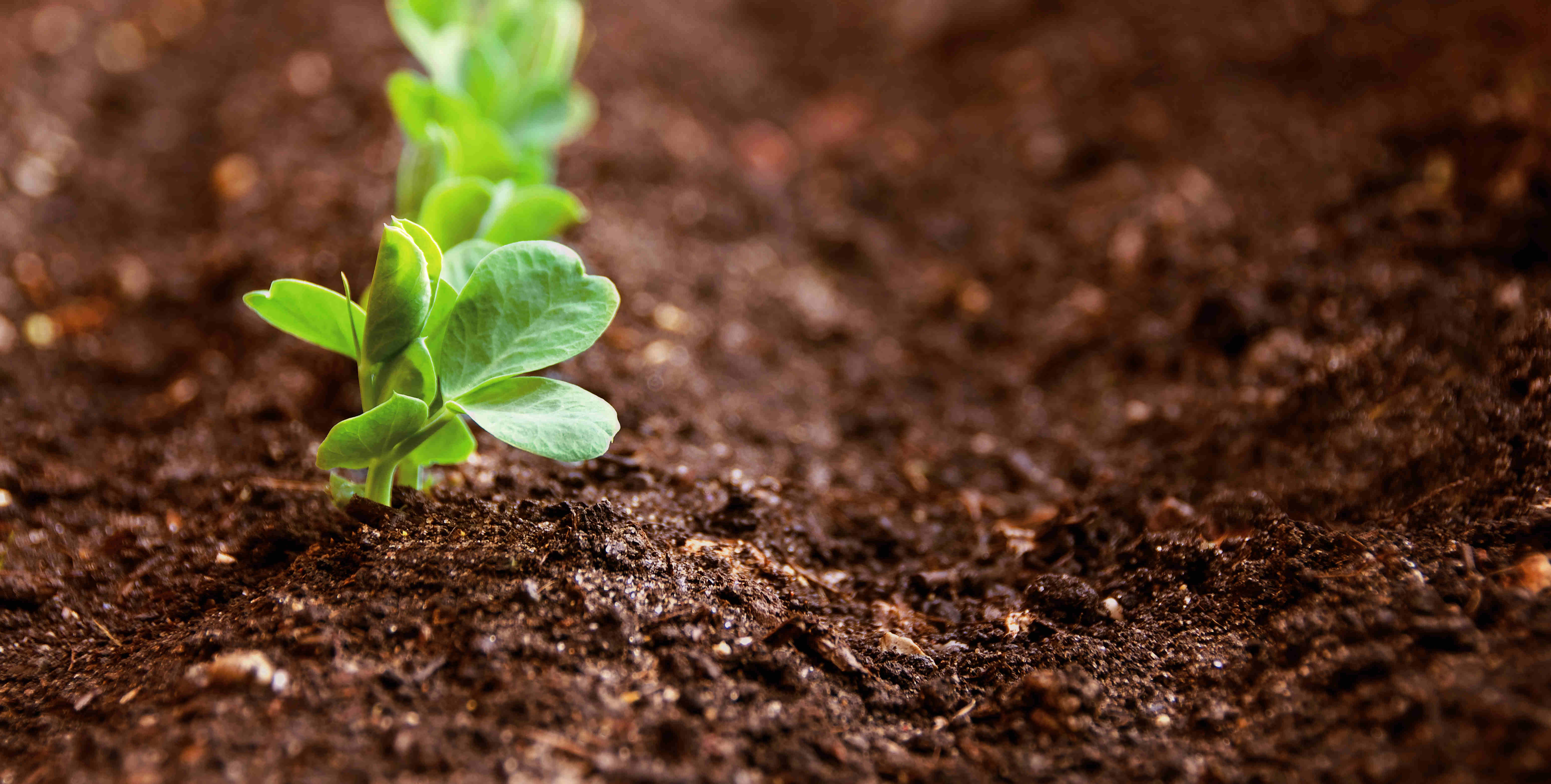 KS��ʱ��(�й���)�ٷ���վ