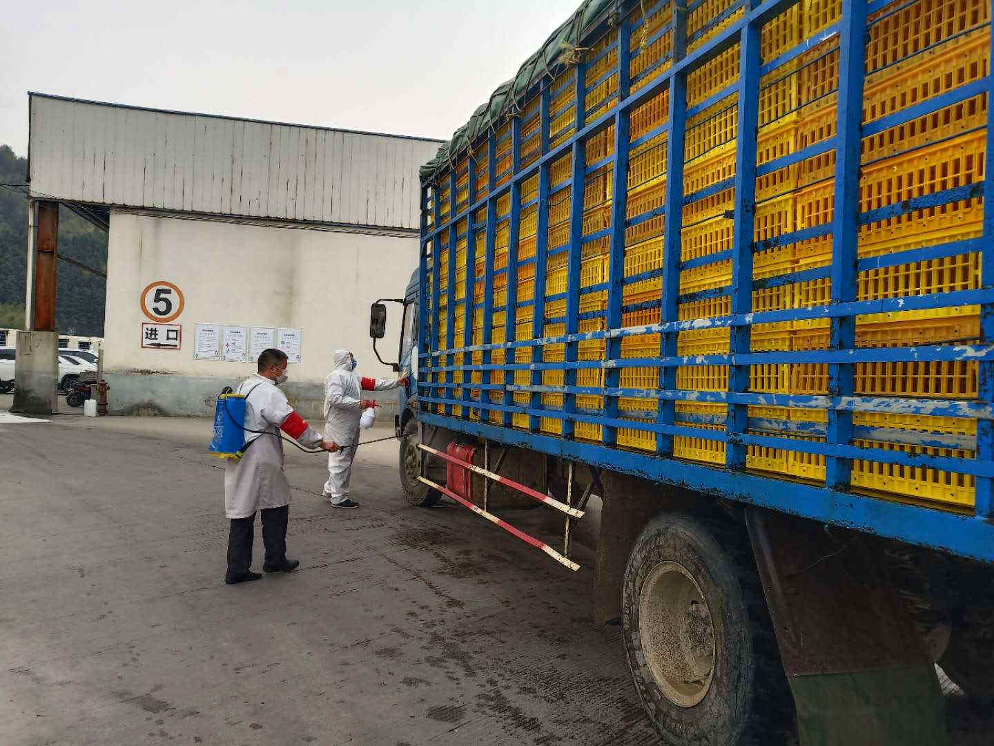 KS¿Ê±¡¤(ÖйúÇø)¹Ù·½ÍøÕ¾