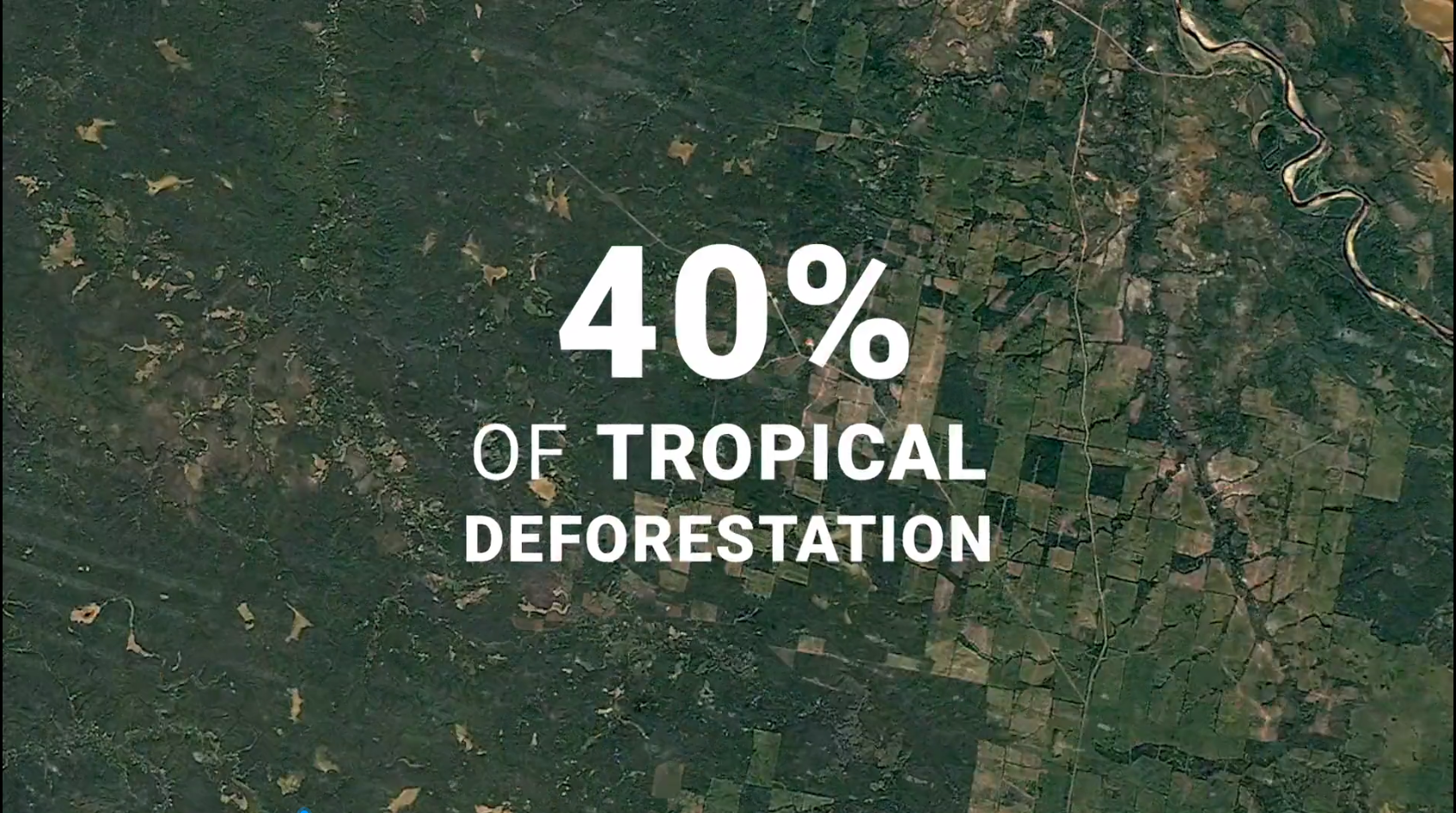 KS¿Ê±¡¤(ÖйúÇø)¹Ù·½ÍøÕ¾