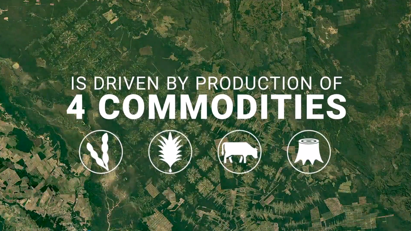 KS¿Ê±¡¤(ÖйúÇø)¹Ù·½ÍøÕ¾