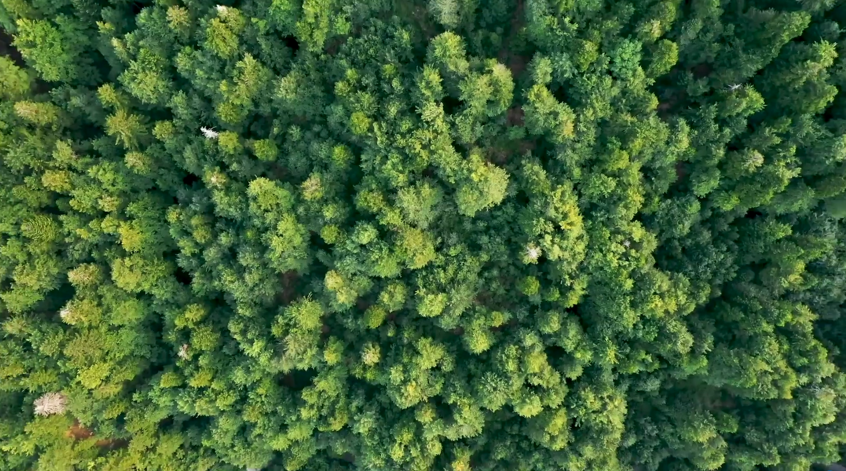 KS¿Ê±¡¤(ÖйúÇø)¹Ù·½ÍøÕ¾