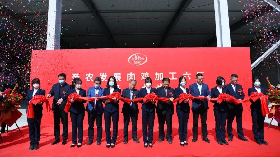 KS��ʱ��(�й���)�ٷ���վ