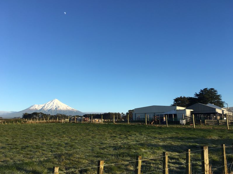 ����ʥ����Ӧ���������޹�˾