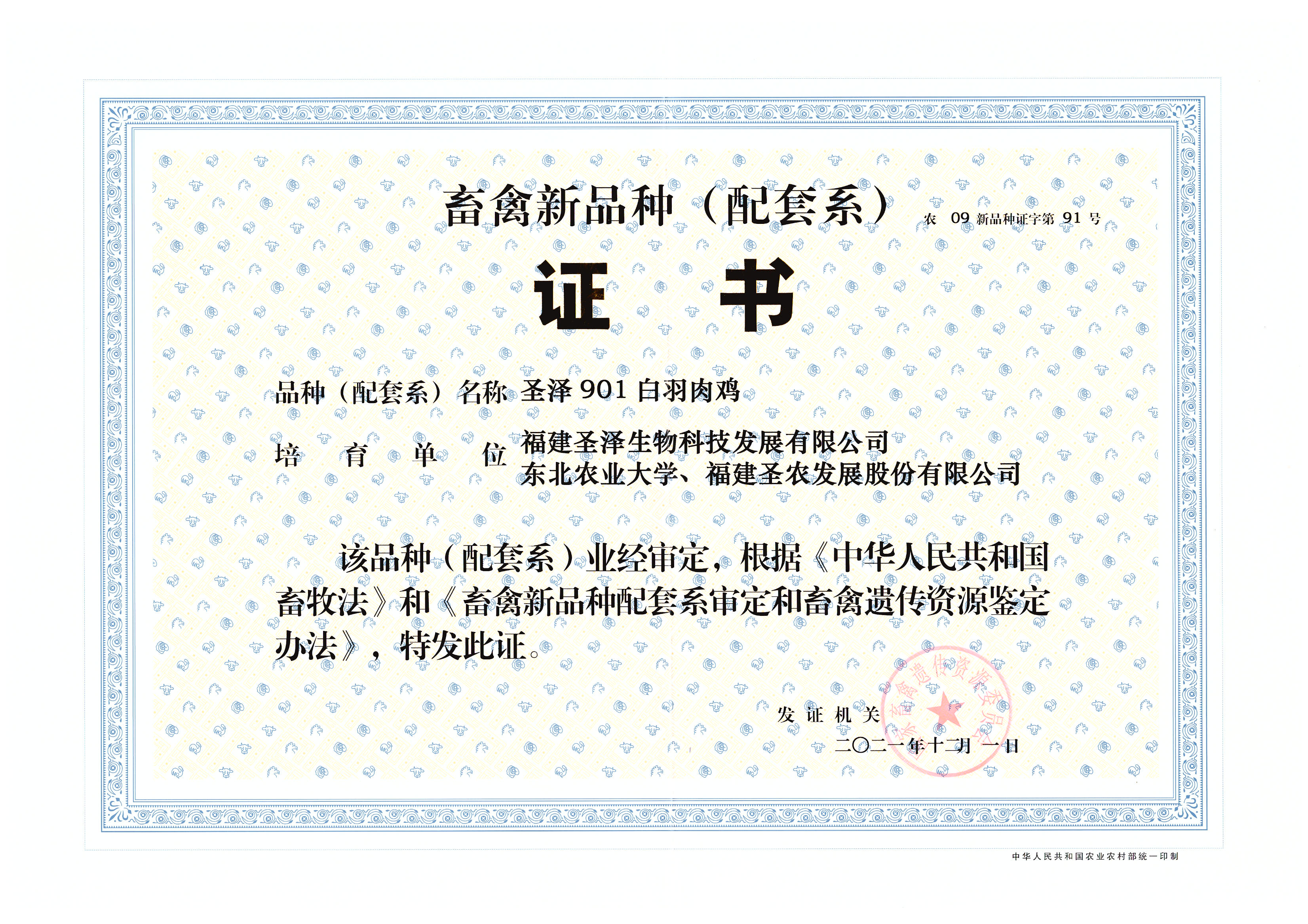 2021������Ʒ�֣�����ϵ��֤��