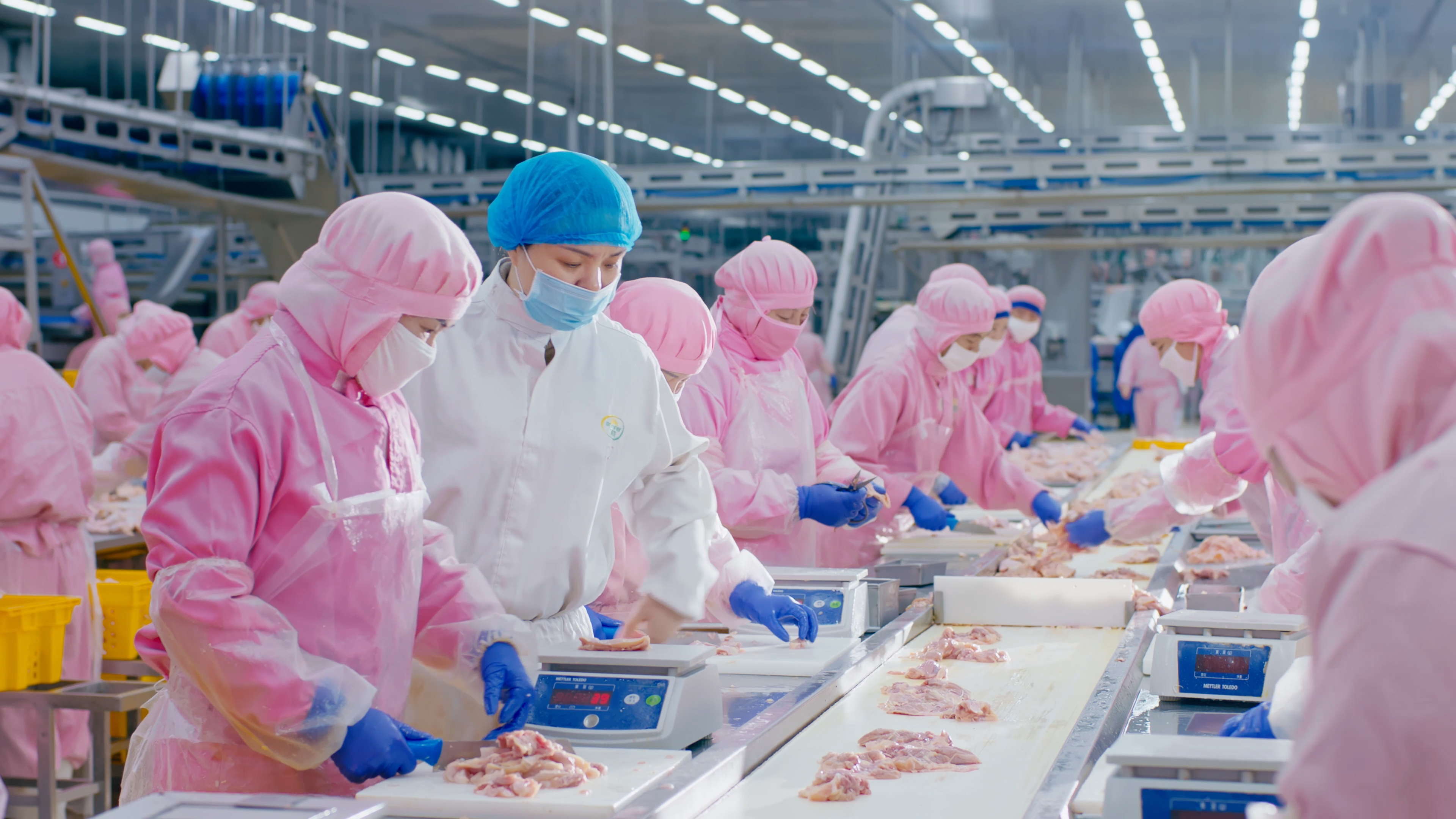 ����Ϊ����������������Я��Ա���������